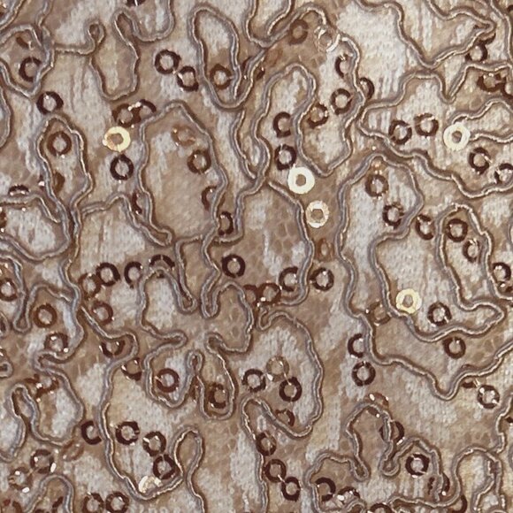 Xtraordinary SZ 10 Formal Pale copper/ivory gown dress Wedding Dance Recital - Picture 7 of 13